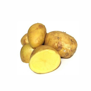 Acheter Bio 200-300g Pomme De Terre Fraîche Holland 100-200g Jaune Clair 6 Mois Maturité 8 cm Ronde 0.15Kg - Product Image 5