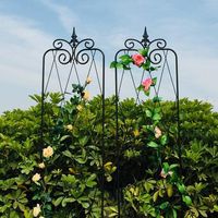Trellis Taman Modern Besi Hitam Hias Ramah Lingkungan Berlapis Bubuk Desain Floral Penyangga Tanaman Rambat Luar Ruangan Dapat Disesuaikan