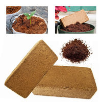 Pellets de noix de coco compressés et de tourbe Disques de sol pour la germination des graines du Vietnam Fabricant