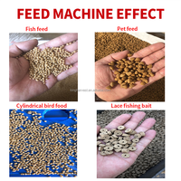 Nouvelle machine extrudeuse de granulés d'aliments pour volailles, bétail et porcs, haute productivité 1 tonne/h, en acier inoxydable, moteur électrique
