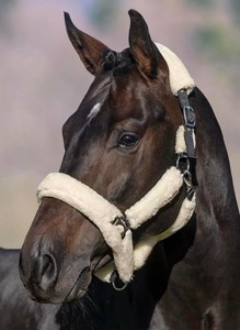 Cabestro para Caballo Anti-Rozaduras con Forro Grueso de Piel Sintética, Acolchado Premium, para Caballos Sensibles, Ajustable - Product Image 2