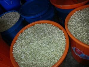 Buy High Quality Organic <b>Cashew</b> <b>Nuts</b> for Export - Product Image 2
