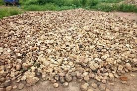 ยางธรรมชาติเกรด AA+ คุณภาพดีที่สุด น้ำหนัก 50,000 เมตริกตัน รูปแบบก้อน 65%-75% DRC - Product Image 4