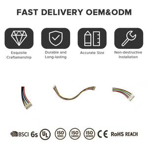 OEM & ODM kustom JST SH JST-SH 1.0mm Pitch 2 3 4 5 6 7 8 10 Pin Terminal konektor pemasangan kabel Harness kawat - Product Image 4