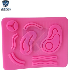 แผ่นซิลิโคนเย็บแผลแบบจำลองทางการแพทย์สำหรับการฝึกผ่าตัดและเครื่องมือผ่าตัดสำหรับนักเรียน - Product Image 5