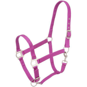 Licol pour cheval en nylon robuste avec mentonnière rembourrée réglable et mousqueton, accessoires d'équitation - Product Image 1