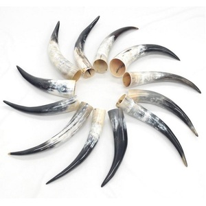 2024 auténtica taza de jarra de cuerno de vaca Natural blanca Medieval de la mejor calidad taza de bebida vikinga Animal pulido artesanía náutica - Product Image 5