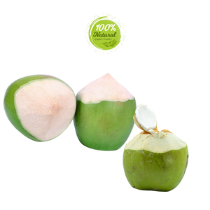 Noix de coco pelée au diamant pour Keto Dieters Produit agricole de qualité supérieure - Product Image 3