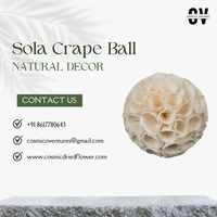 Bola-bola Sola Crape Alami Berkualitas Tinggi untuk Dekorasi Pernikahan DIY, Wisuda, Natal, Hari Ayah, Hari Ibu & Acara Halloween