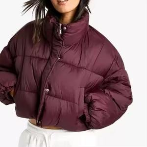Veste d'hiver matelassée à capuche pour femme, imperméable, coupe-vent, respirante, avec fermeture éclair et boutons, logo personnalisé imprimé, OEM 2025 - Product Image 1
