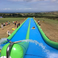 Toboggan aquatique gonflable géant personnalisé pour enfants et adultes, en PVC, pour usage résidentiel, scolaire et extérieur