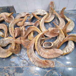 ฮอร์นของเขา - Product Image 4