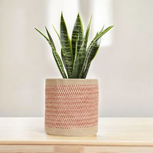 Jardinière en jute décorative de jardin au design unique Décor à la maison Forme ronde Jute et métal Matériau pour utilisation douée - Product Image 4