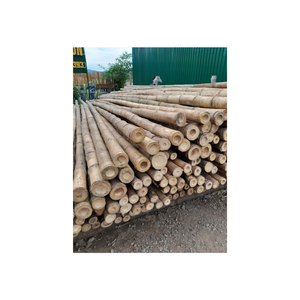 Premium <b>Natural</b> Bamboo Poles <b>Tube</b> for Garden Support and Decoration Eco Friendly Material from Vietnam - Product Image 2