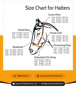 No perenne, - Product Image 6