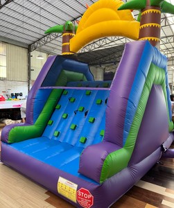 NUEVO Parque Acuático Inflable Comercial de PVC de 26 Pies con Doble Tobogán para Fiestas de Cumpleaños Infantiles 2026 - Product Image 1