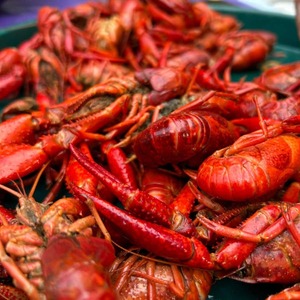 กุ้งเครย์ฟิชแช่แข็งคุณภาพพรีเมียม อาหารทะเลสดใหม่ ราคาดีที่สุด สำหรับผู้ซื้อส่ง ผู้นำเข้า ผู้จัดจำหน่าย และลูกค้าขายส่ง - Product Image 6