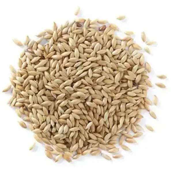 Semillas de Canarias-Beneficios de las semillas de Canarias para aves // Alpiste Canery Seed Powder for Diabetes // Bulk Animal Feed South Africa