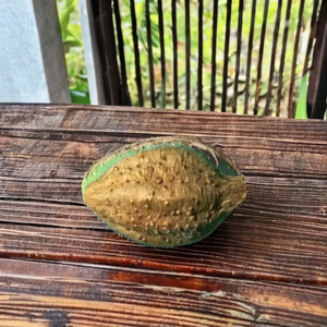 สารสกัดแทนนินสีเหลืองพรีเมียมจากต้นเทอร์มินัลเลีย เชบูลา (ภูมิภาคภูเขา ตะวันตก มหาราษฏรา ประเทศอินเดีย) ตากแห้งด้วยแสงแดด บรรจุภัณฑ์แบบ SPDK อายุการเก็บรักษา 2 ปี - Product Image 1