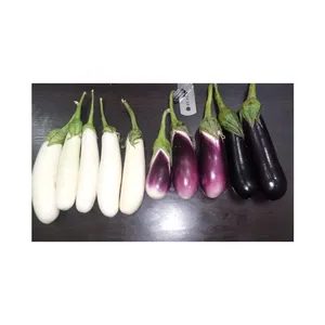 High Quality Export Oriented Hybrid Natural Brinjal No.1 Fresh Vegetable Purple Eggplant for Sale