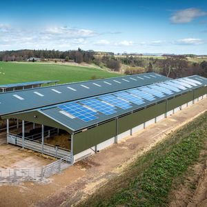 Fábrica de China, <span class=keywords><strong>precio</strong></span> bajo, capa de pollos de engorde, granja avícola, construcción de Gallinero - Product Image 2