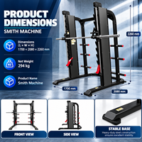BN Wholesale Smith Machine pour Squat, Bench Press, Entraînement en Salle de Sport, Équipement Commercial de Musculation