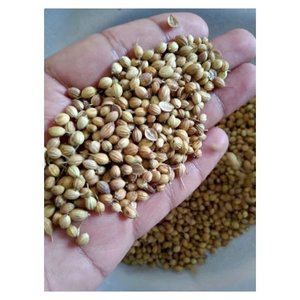 Lợi ích sức khỏe của Hạt Rau Mùi quảng cáo khô-siêu thực phẩm ẩn của thiên nhiên - Product Image 6