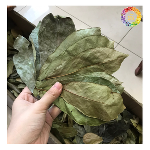 ใบทุเรียนเทศแห้งและผงใบกริโอลาชาสมุนไพรพรีเมี่ยมจากใบทุเรียนเทศแห้ง - Product Image 2