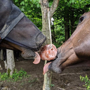 เกลือธรรมชาติบริสุทธิ์สำหรับสัตว์เลีย Salt100 % - Product Image 5