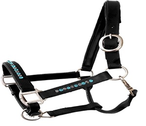 High Quality Customized Buffalo <b>Leather</b> Horse Halters Set New Equestrian Products Fancy Stitched Padded <b>Cushioned</b> Racing Western - Product Image 1