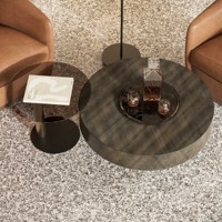Table basse moderne Rome en bois brun bronze et or pour le salon