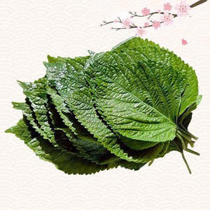 Notre périlla vietnamienne propre: pureté garantie, arôme exceptionnel - Product Image 5