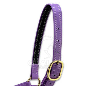 Cabestro de caballo resistente con banda para la nariz acolchada suave y corona para mayor comodidad y control Cabestro de caballo - Product Image 2