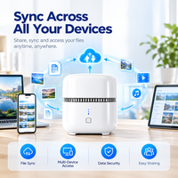 Penyimpanan NAS Cloud Pribadi 2-Bay, Server Penyimpanan Jaringan, 4K HDMI, Wi-Fi 6, SATA 3.0, Dukungan SSD M.2 untuk Cadangan Data Rumah dan Kantor
