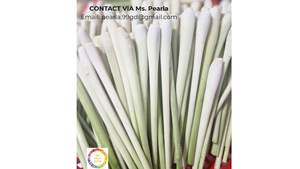 Lemongrass fresco congelado de Vietnam disponible a granel para los importadores que buscan la mejor calidad y el suministro constante - Product Image 3