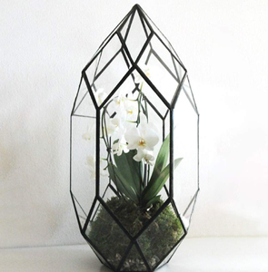 Terrarium géométrique en polyèdre décoratif pour l'affichage de fleurs et la décoration de table au prix de gros et d'usine de l'Inde - Product Image 3