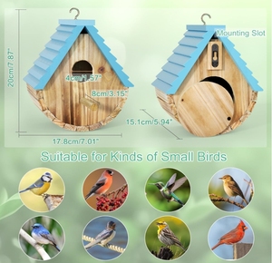 Personalizzare brillante blu e verde poli legname appeso Wren casa di legno uccello casa per piccoli animali per giardini all'aperto - Product Image 4