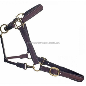 Design personnalisé Licou en cuir surélevé et rembourré entièrement réglable en épi complet sur la taille avec matériel en laiton massif robuste - Product Image 2