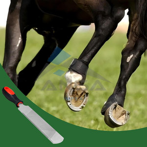 14 Inch Hoof <b>Rasp</b> Farrier <b>File</b> Tool, Heavy Duty Carbon Steel Trimming Tool Comfortable Handle Professional Hoof <b>Rasp</b> Horse - Product Image 6
