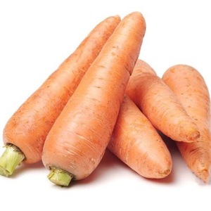 Proveedor de Zanahorias Frescas al Mejor Precio, Calidad de Exportación - Product Image 1
