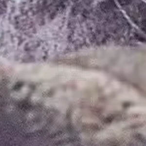 Pantalon décontracté personnalisable à sublimation pour homme-Pantalon léger et écologique de haute qualité à séchage rapide - Product Image 6