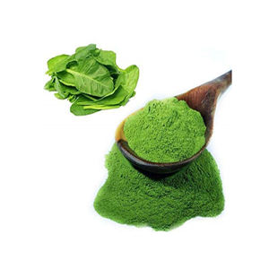 Poudre d'épinards naturelle disponible en vrac pour l'exportation vers les entreprises d'aliments santé et de suppléments - Product Image 6