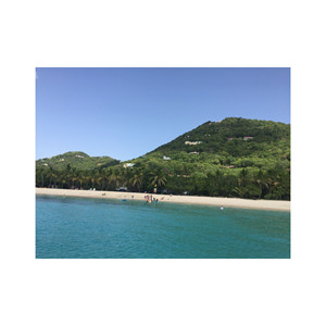 Beech Long ofrece venta a granel de troncos de madera de alta calidad para todo tipo de proyectos de madera - Product Image 1