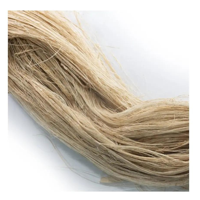 Meilleur prix pour la fibre de bananier écologique FiberPure Banana en gros de haute qualité 99GD