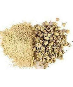 ผงสกัดสมุนไพรกอคารุ คุณภาพดีที่สุด บริสุทธิ์ 100%  สารสกัดธรรมชาติเพิ่มฮอร์โมนเพศชาย ช่วยเสริมสร้างกล้ามเนื้อ ความแข็งแรง ความมีชีวิตชีวา อาหารเพื่อสุขภาพ - Product Image 4