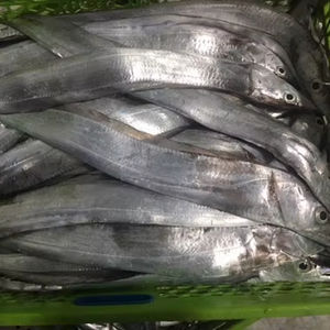 Pescado Congelado de Primera Calidad, Bajo en Carbohidratos y Sal, Tamaño 6cm, en Venta - Product Image 1