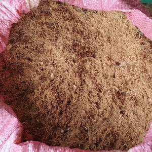 Source de Nutrition Adéquate pour les Plantes Tourbe de Coco Biologique Bloc de 4,5 kg Semis Culture 29x29x15cm Ben Tre Vietnam 2024 - Product Image 5