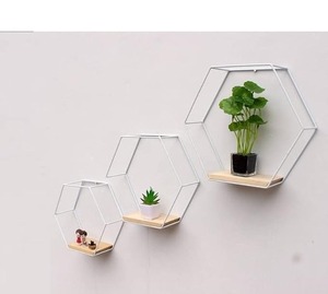 Macetero de Pared Hexagonal para Plantas de Interior Elegantes, Decoración Moderna para el Hogar, Sala de Estar, Balcón, Oficina y Exhibición Vertical - Product Image 4