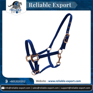 Fournisseur en vrac licou de cheval robuste de haute qualité équitation licou en PP disponible au meilleur prix - Product Image 2