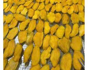 มะม่วงอบแห้งแบบนิ่มของเวียดนามผู้จัดจำหน่ายที่มีรสชาติมะม่วงดั้งเดิมพร้อมฉลากส่วนตัวมะม่วงอบแห้งแบบนิ่มสำหรับการส่งออกและขายปลีก - Product Image 4